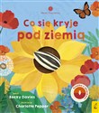 Młodzi przyrodnicy Co się kryje pod ziemią - Becky Davies