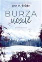 Burza uczuć Tom 1 - Lena M. Bielska