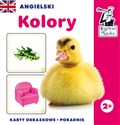 Kapitan Nauka Angielski Kolory (karty obrazkowe + poradnik)