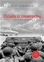 Działa o zmierzchu. Wojna w Europie Zachodniej 1944-1945. Trylogia Wyzwolenia. Tom 3 - Rick Atkinson