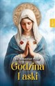 Godzina łaski - Sebastian Picur