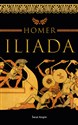 Iliada  - Homer