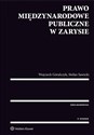 Prawo międzynarodowe publiczne w zarysie - Wojciech Góralczyk, Stefan Sawicki