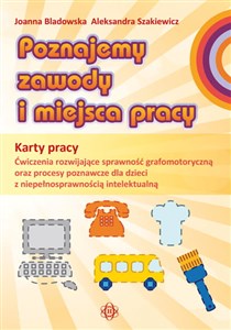 Poznajemy zawody i miejsca pracy Karty pracy Ćwiczenia rozwijające sprawność grafomotoryczną oraz procesy poznawcze dla dzieci z niepełnosprawnością intelektualną