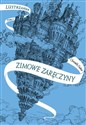 Zimowe zaręczyny. Lustrzanna Tom 1 - Christelle Dabos