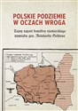 Polskie podziemie w oczach wroga Tajny raport niemieckiego dowódcy Reinharda Gehlena
