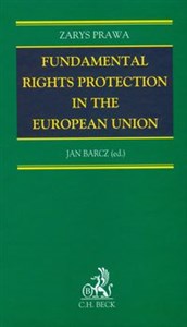 Fundamental rights protection in the European Union