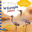 W Europie Jezioro