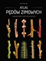 Atlas pędów zimowych  - Jacek Adamczyk