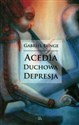 Acedia duchowa depresja Nauka duchowa Ewagriusza z Pontu o acedii