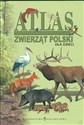 Atlas zwierząt Polski dla dzieci - Edyta Wygonik