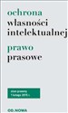 Ochrona własności intelektualnej Prawo prasowe