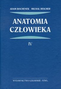 Anatomia człowieka Tom 4