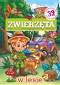 Zwierzęta w lesie - Mariola Budek