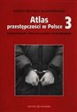 Atlas przestępczości w Polsce 3 - Andrzej Siemaszko, Beata Gruszczyńska, Marek Marczewski