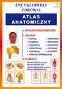 Atlas anatomiczny Encyklopedia zdrowia