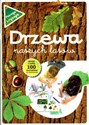 Drzewa naszych lasów Zeszyt z kalką. 100 kształtów do odrysowania. - Opracowanie Zbiorowe