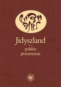 Jidyszland polskie przestrzenie - Księgarnia Niemcy (DE)