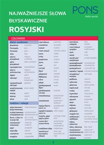 Błyskawicznie gramatyka rosyjska mini