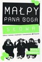 Małpy pana Boga Słowa Szkice i rozmowy o wyobraźni i rzeczywistości. Polemiki.