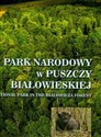 Park Narodowy w Puszczy Białowieskiej