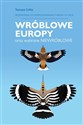 Wróblowe Europy Przewodnik do rozpoznawanie ptaków w locie