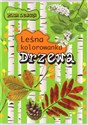 Drzewa. Leśna kolorowanka - Andżelika Bielańska