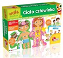 Carotina Ciało człowieka - 