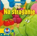 Na straganie - Jan Brzechwa