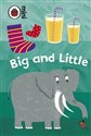 Early Learning Big and Little - 