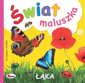 Łąka. Świat maluszka