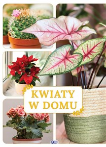 Kwiaty w domu