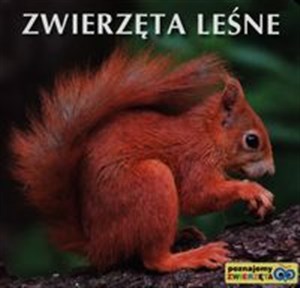 Zwierzęta leśne