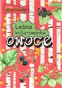 Owoce. Leśna kolorowanka - Katarzyna Kopiec-Sekieta