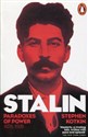 Stalin Volume 1 Paradoxes of Power 1878-1928 - Stephen Kotkin