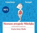 [Audiobook] Nieznane przygody Mikołajka