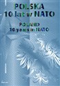 Polska 10 lat w NATO/ Poland 10 years in NATO
