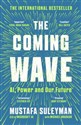 The Coming Wave AI, Power and Our Future