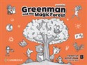 Greenman and the Magic Forest B Activity Book