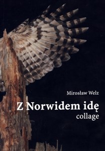 Z Norwidem idę