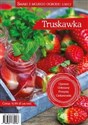 Truskawka Smaki z mojego ogrodu 1/2017