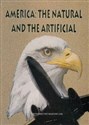 America: The Natural and the Artificial Construction of American Identities, Landscapes, Social Institutions and Histories