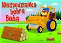 Niespodzianka bobra Boba - Opracowanie Zbiorowe