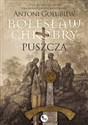 Bolesław Chrobry. Puszcza 