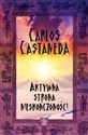 Aktywna strona nieskończoności - Carlos Castaneda