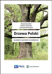 Drzewa Polski Najgrubsze Najstarsze Najsłynniejsze