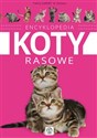 Encyklopedia Koty rasowe