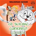 [Audiobook] Co słychać Cukierku?