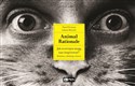 [Audiobook] Animal Rationale Jak zwierzęta mogą nas inspirować? Rodzina, edukacja, biznes - Paweł Fortuna, Łukasz Bożycki