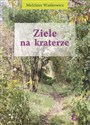 Ziele na kraterze